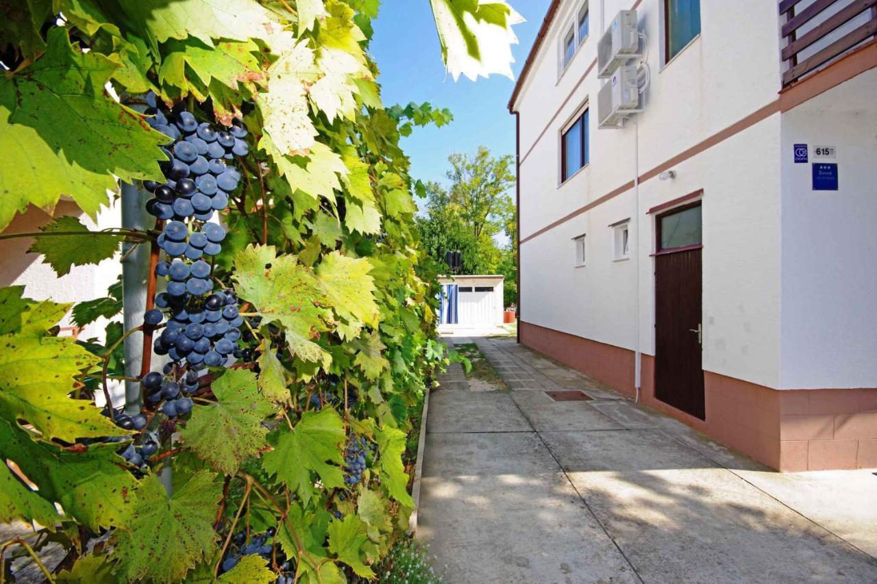 Apartments In Sabunike/Zadar Riviera 7812 Nin Esterno foto